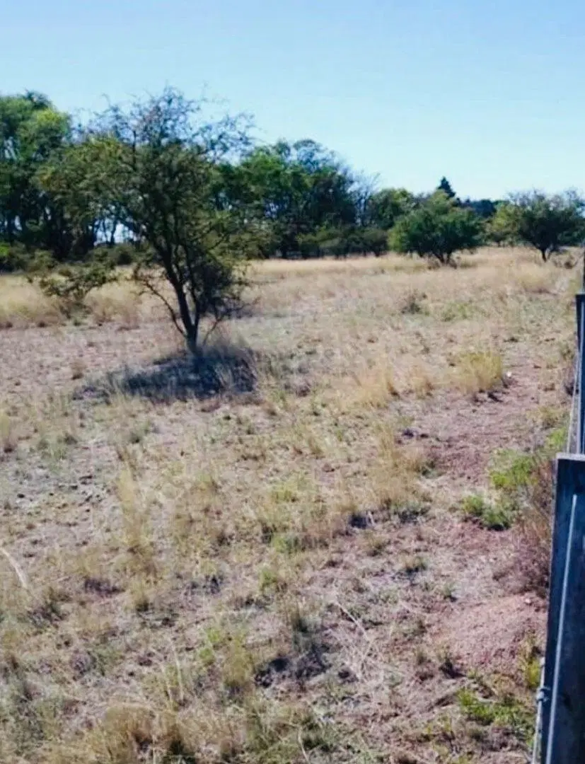 Terreno en Altos del Payun Lote 13 2