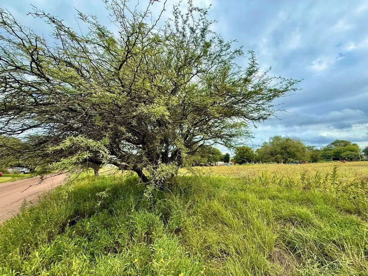 PRE VENTA Terrenos Loteo La 33 3