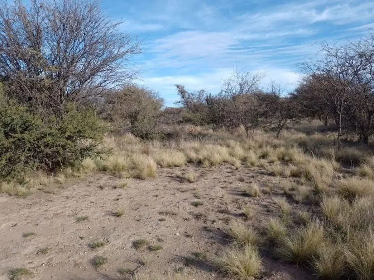 Venta de Chacra Uruguay y Ñandú 2