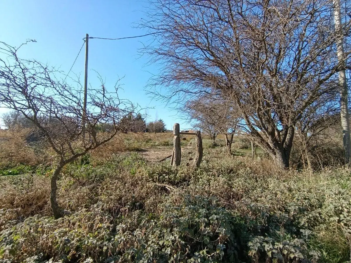Terreno en Cebruno y Zaino.  Altos del Payún 4