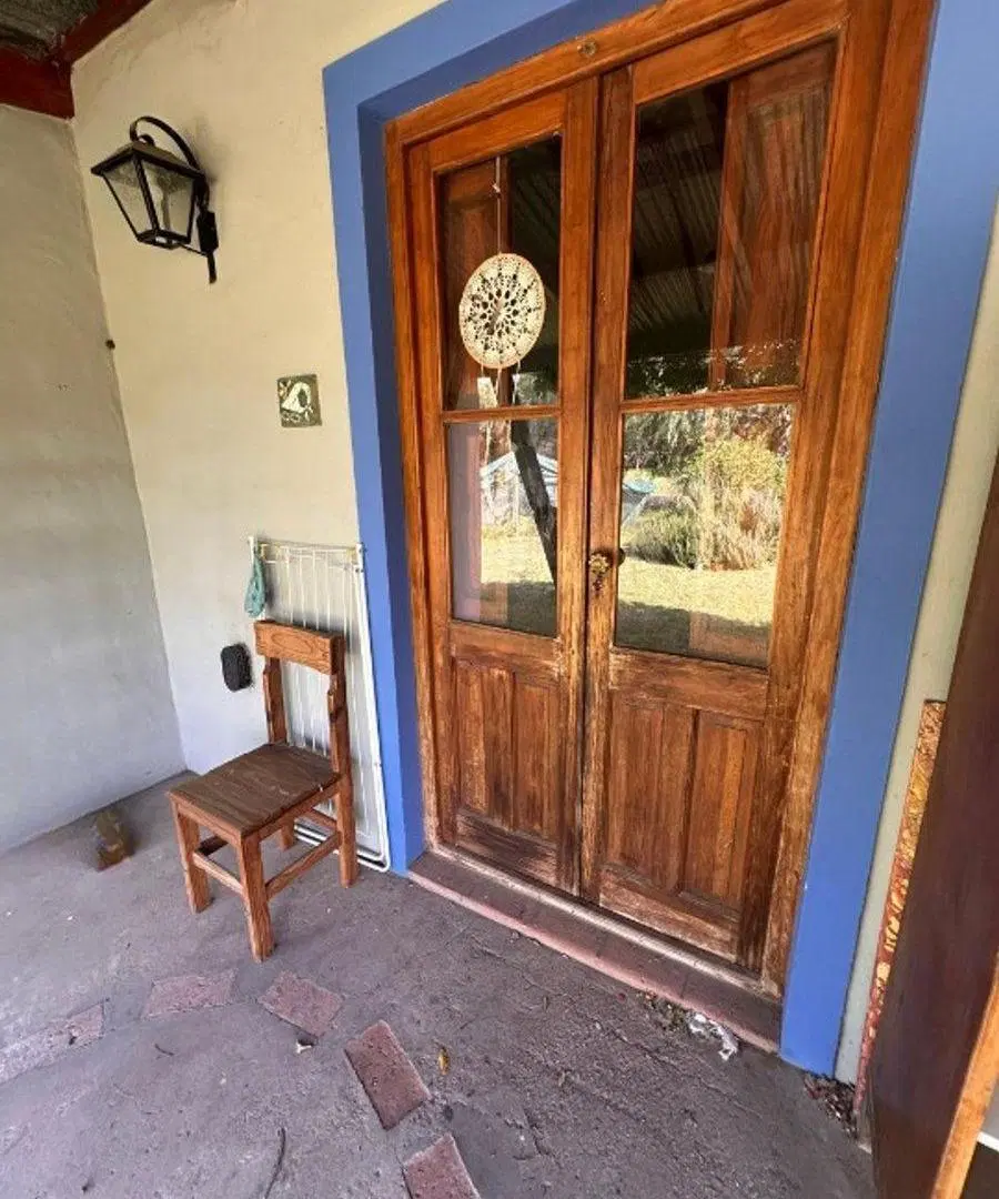 Paloma Torcasa 513  , Toay 4