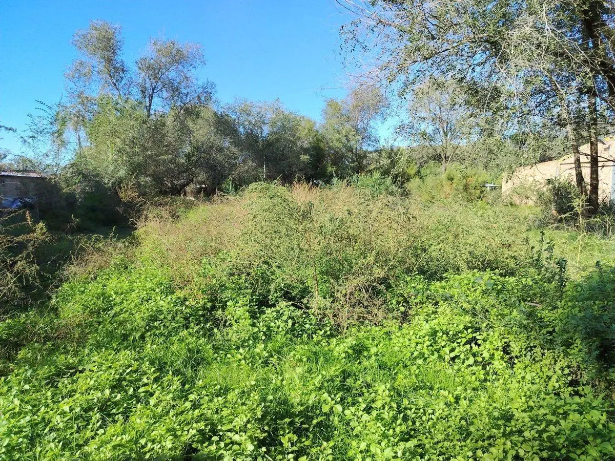 Terreno 2 de diciembre  S/N , Anguil 2