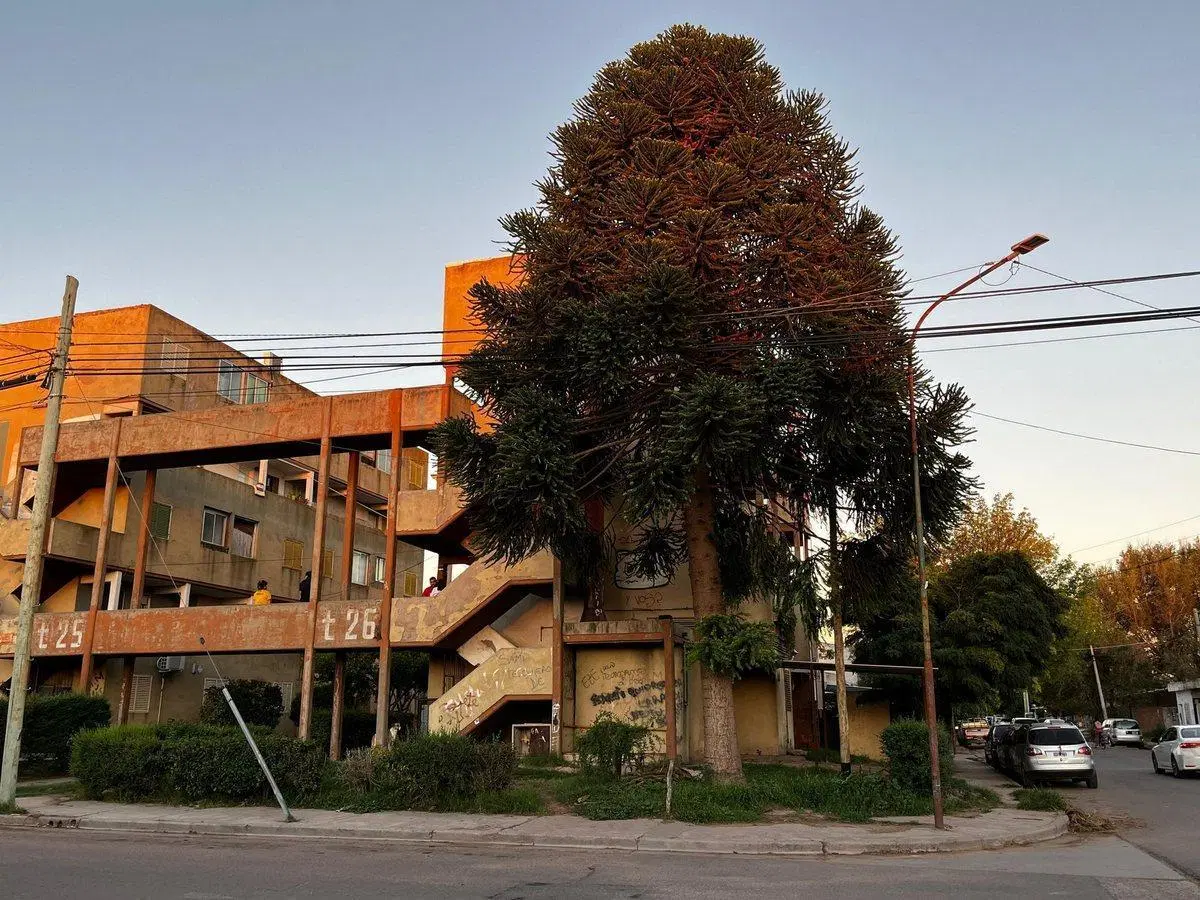 Departamento Rio Atuel, tira 26, departamento 202 3