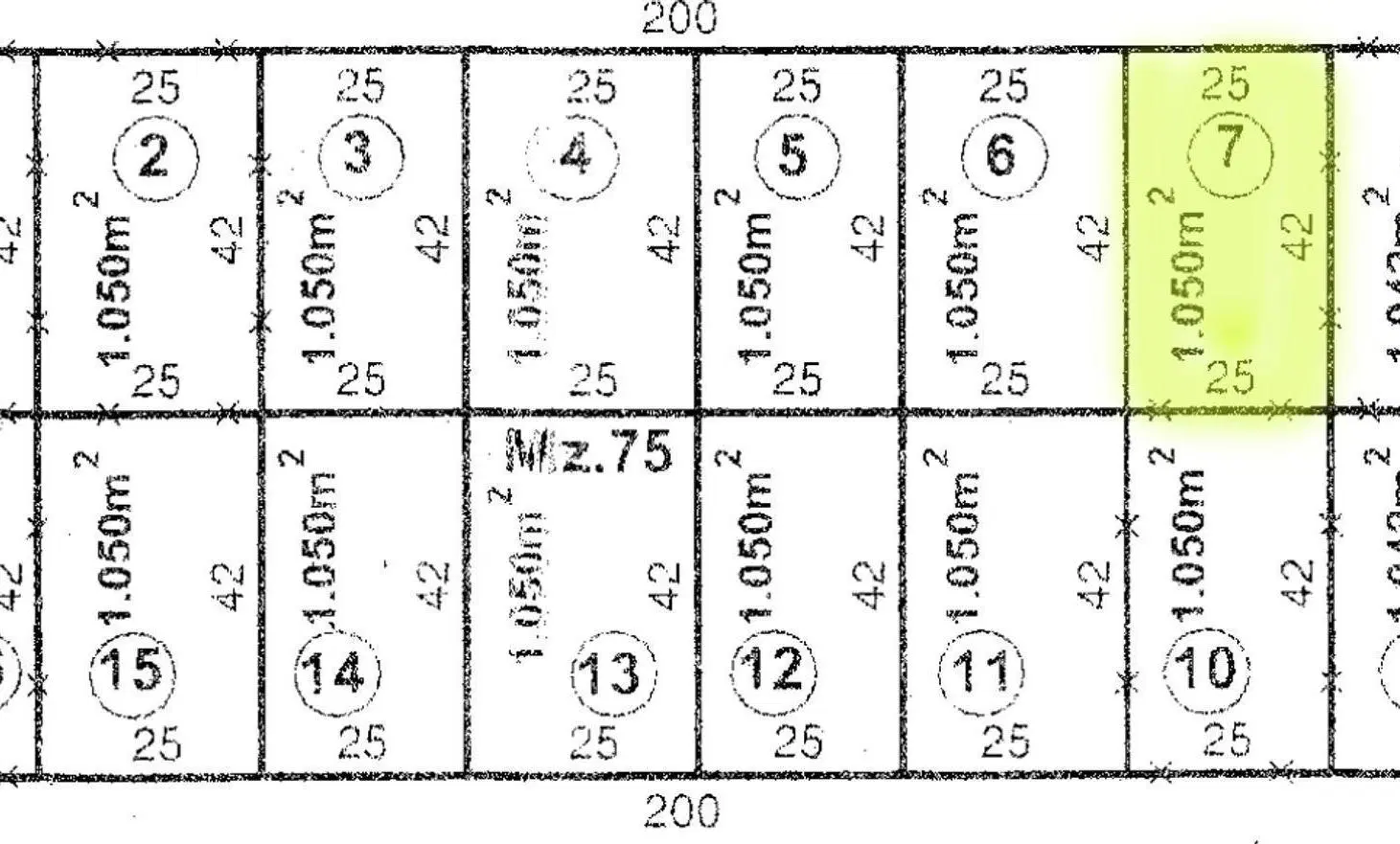 Plano 1