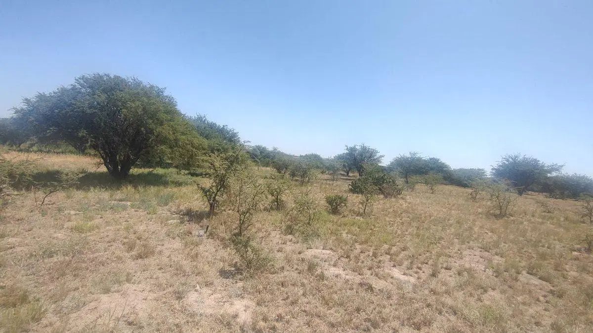 Terreno en Mara y Paloma, La Cuesta del Sur 3