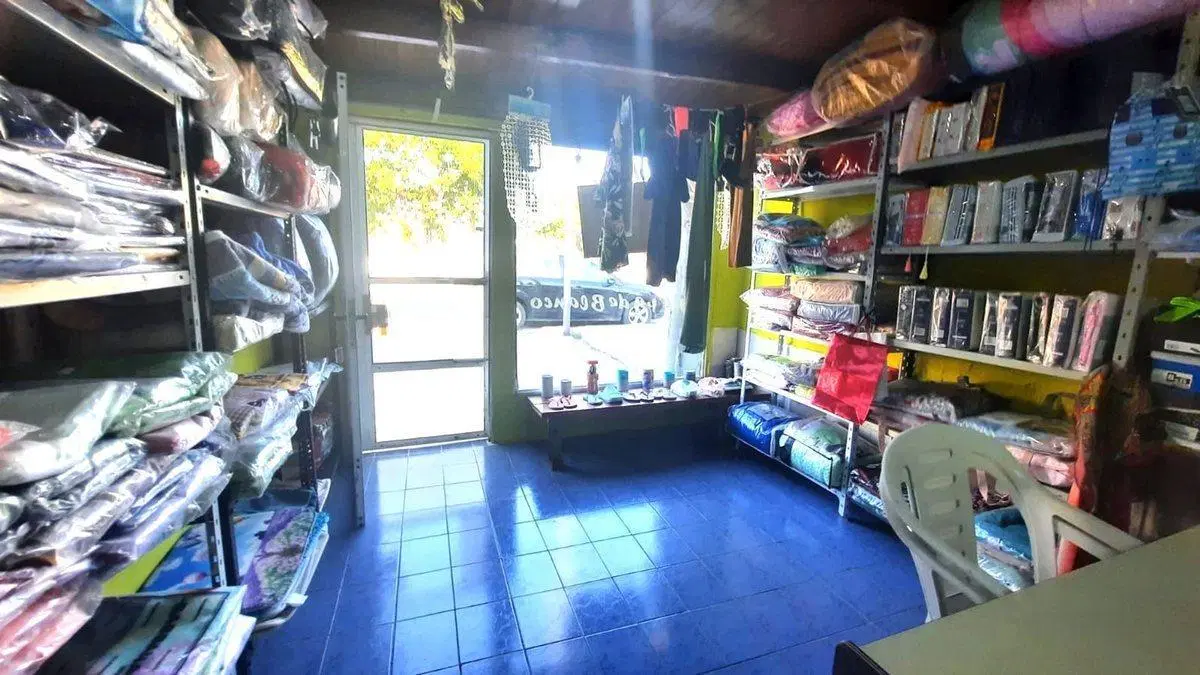 Casa + local comercial en Alvear 645, Quemu Quemu 2