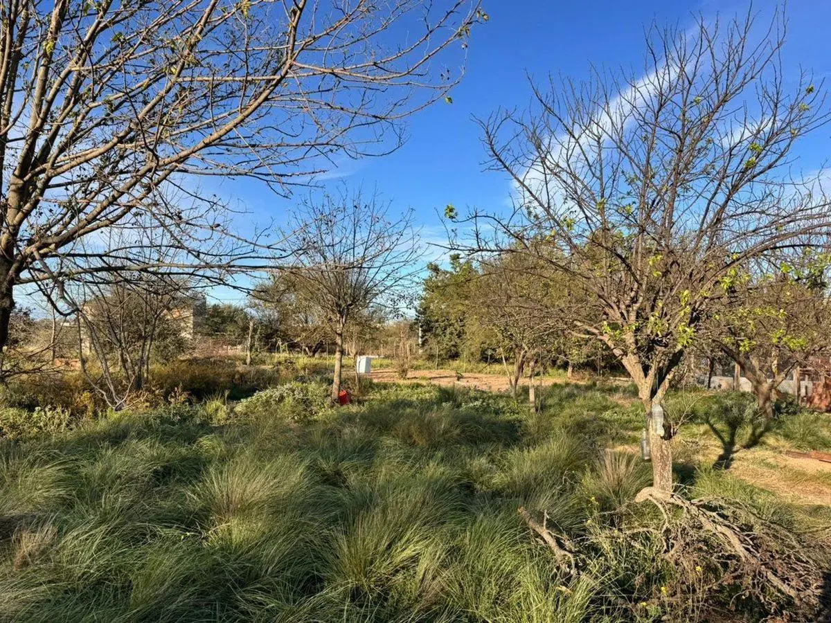 Terreno en Alcorta y Av. Uruguay 5
