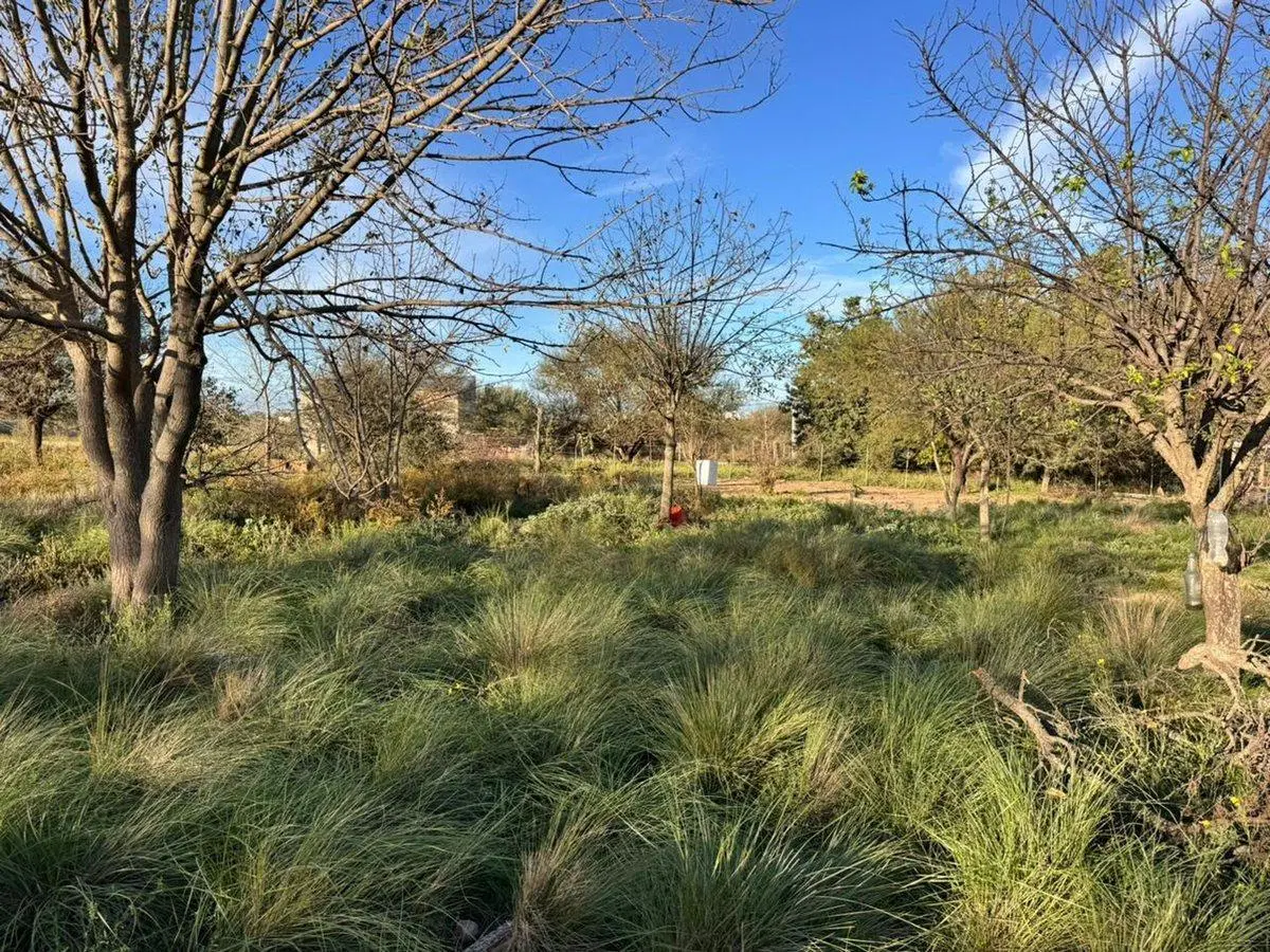 Terreno en Alcorta y Av. Uruguay 2