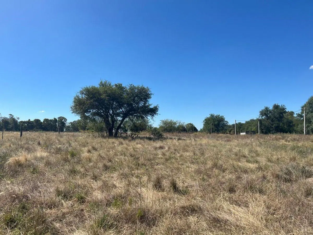 Venta de Terreno en Colonia Barón 1