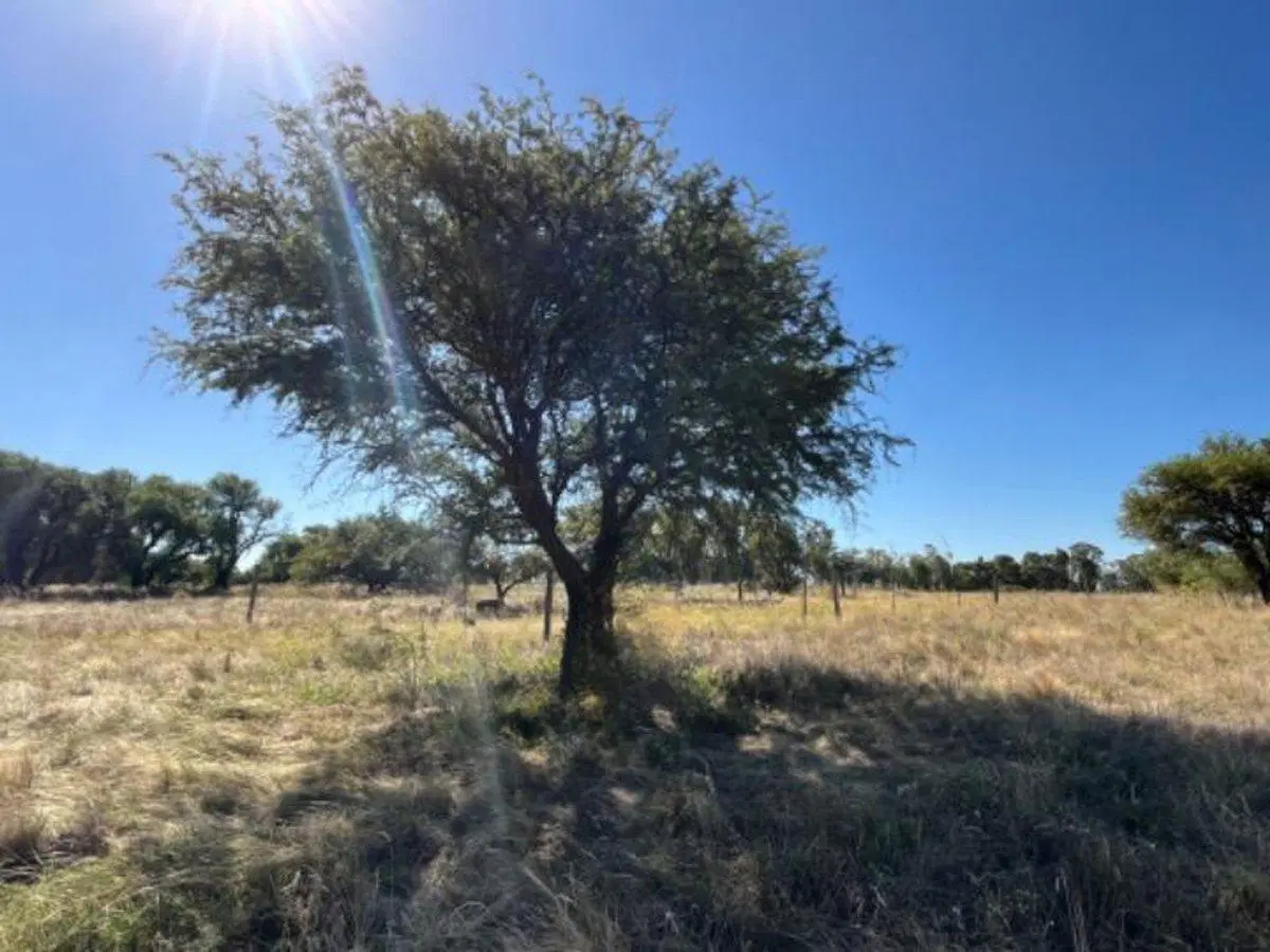 Venta de Terreno en Colonia Barón 3