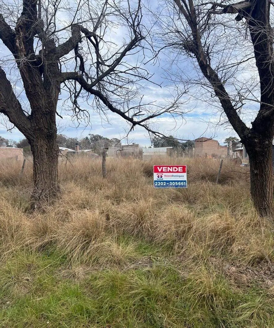 Terreno en Victoria entre Rondeau y Azcuenaga. 4