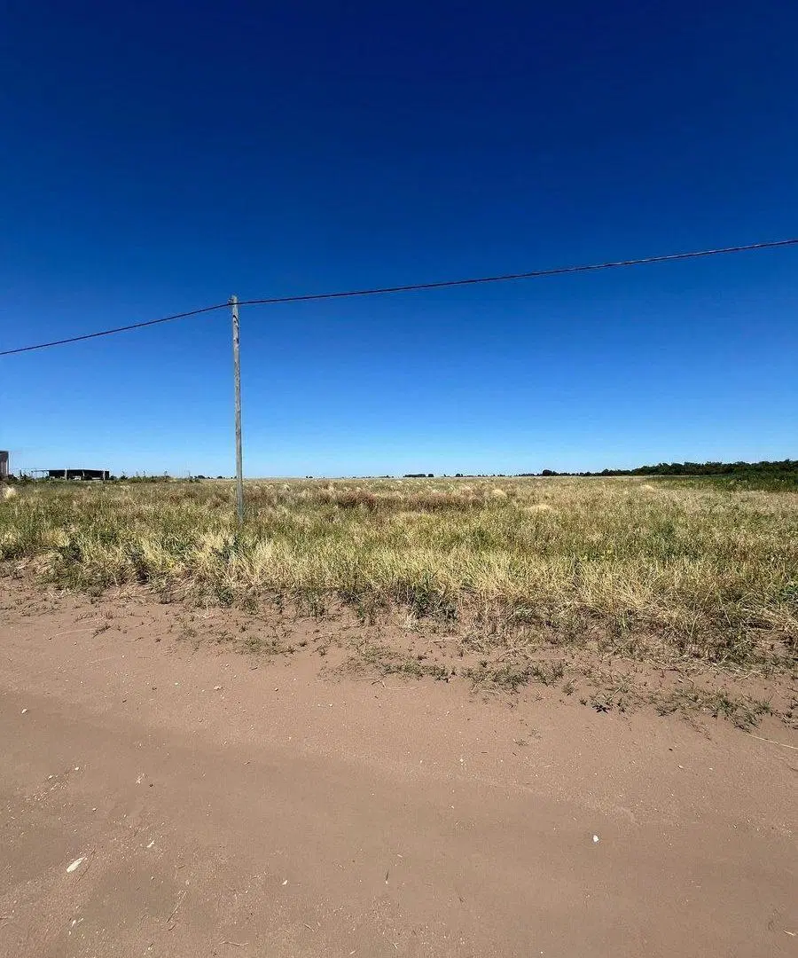 Terreno sobre Ruta Provincial N° 1 - Macachín 5