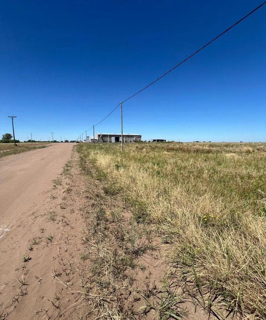 Terreno sobre Ruta Provincial N° 1 - Macachín 7