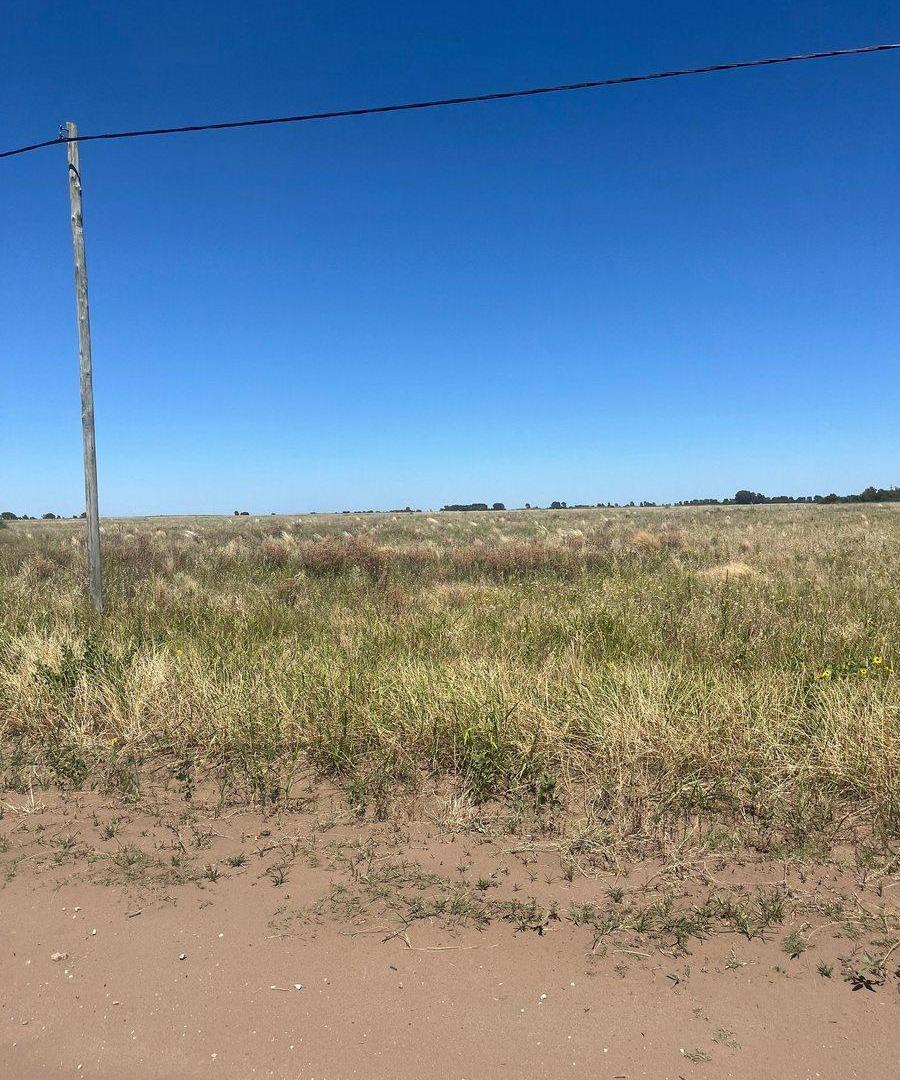Terreno sobre Ruta Provincial N° 1 - Macachín