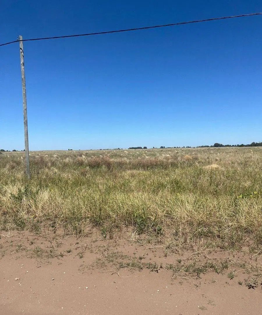 Terreno sobre Ruta Provincial N° 1 - Macachín 2