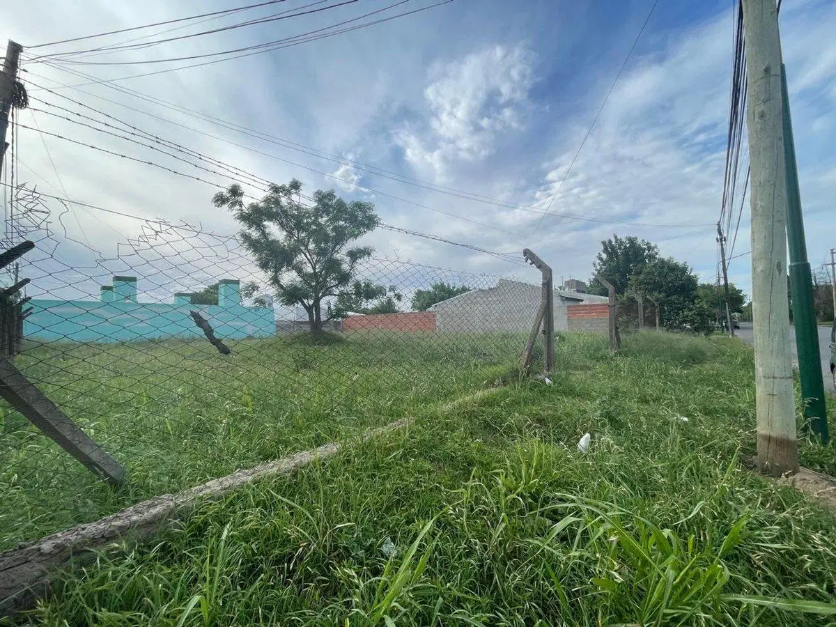 Terreno en calle 300 esquina 303 4