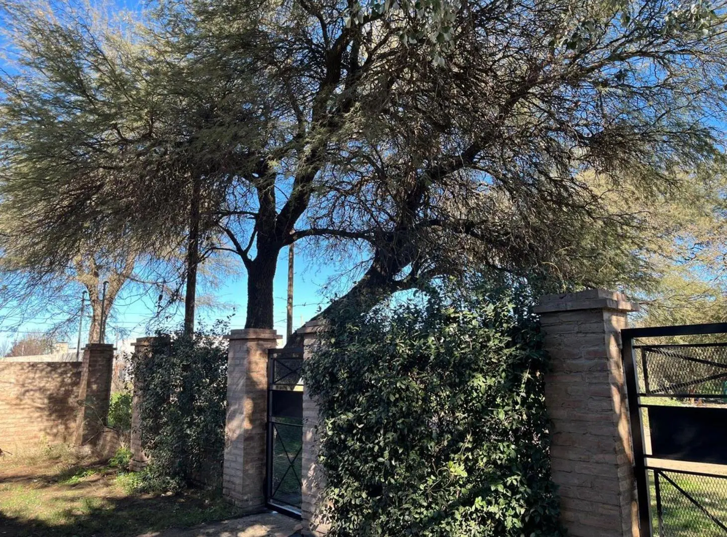 Casa en Armesto 385 - Santa Rosa 4