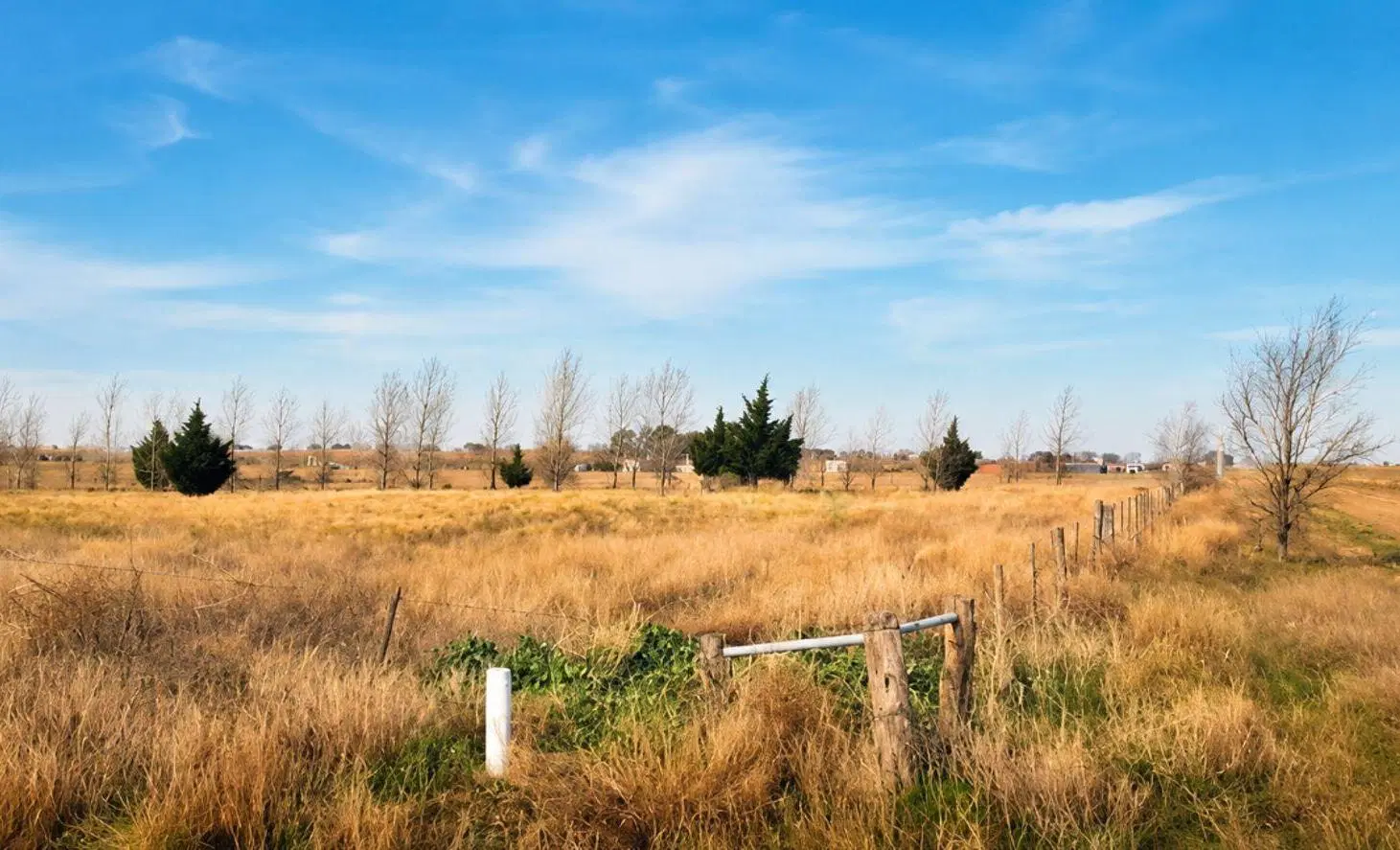 Venta de terreno Chacra Lemu Cuyen 3