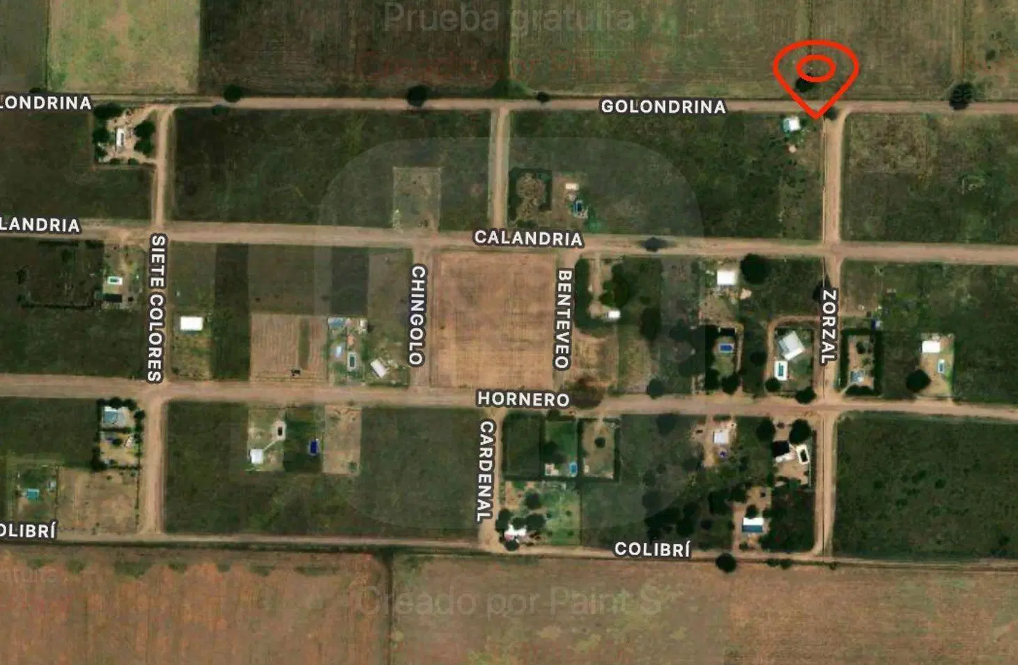 Terreno calle Golondrina y Zorzal -Winifreda 3