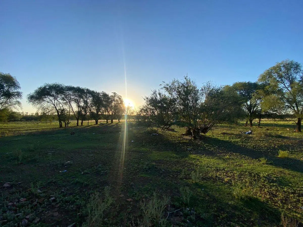 Terreno, Buira S/N al Norte de la Laguna Don Tomás 5