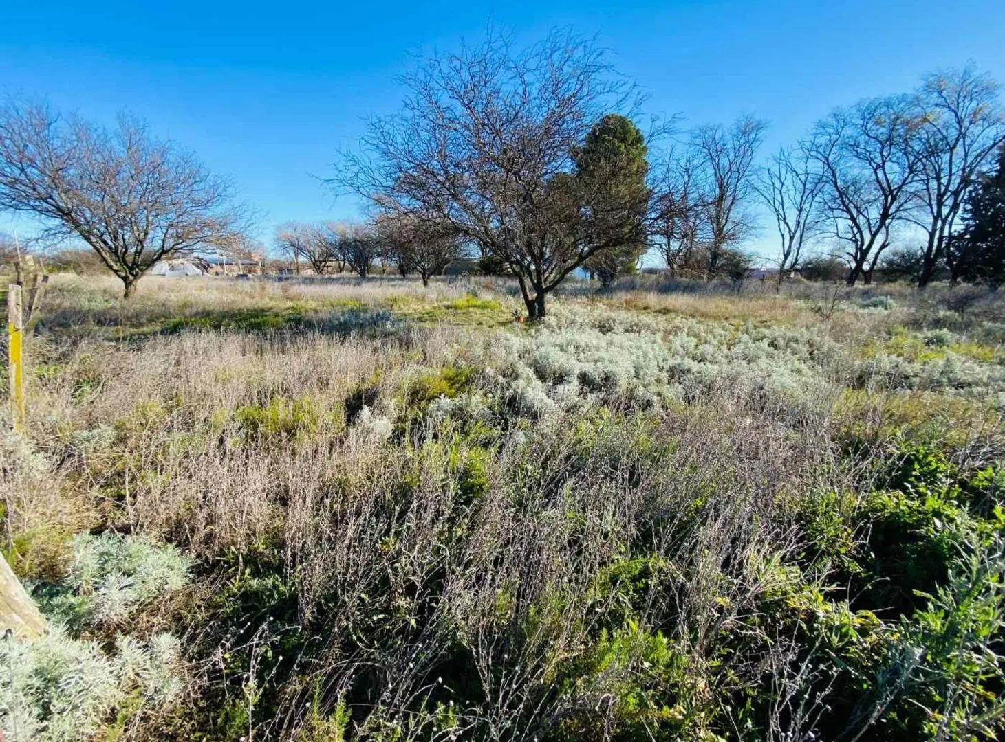 Terreno en Altos del Payun Alazán Sur 4