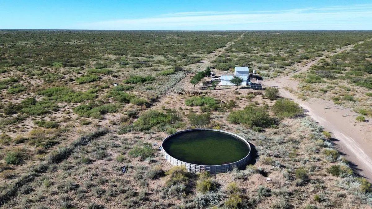 Venta de campo de 5950 has - Limay Mahuida 4