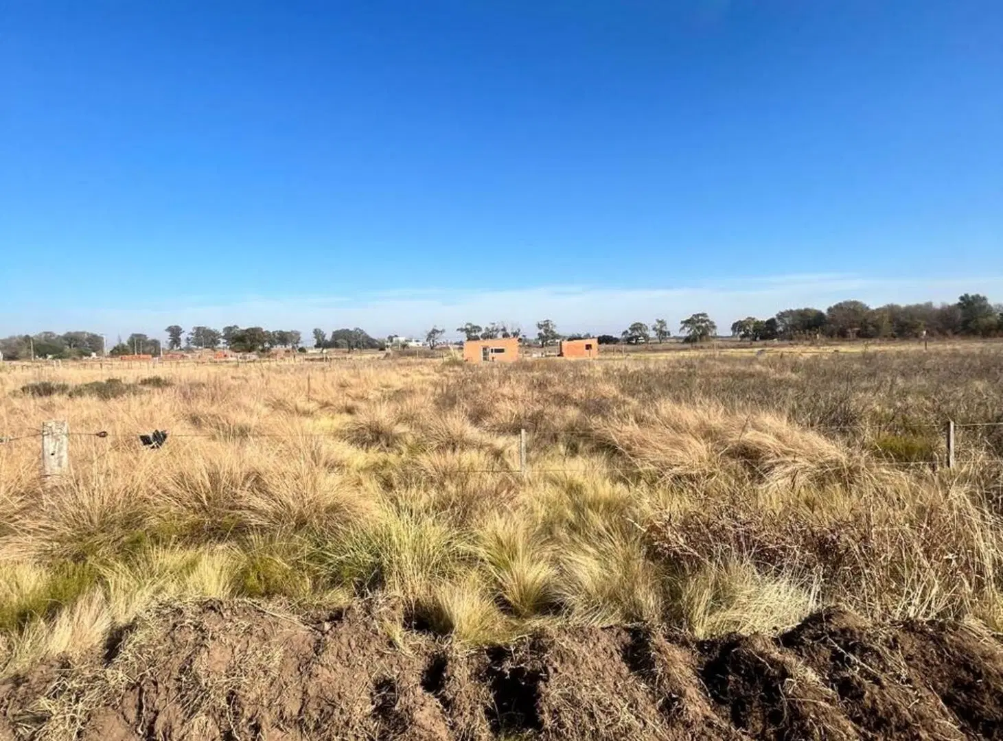 Terreno Dr. Sanchez - Anguil 2