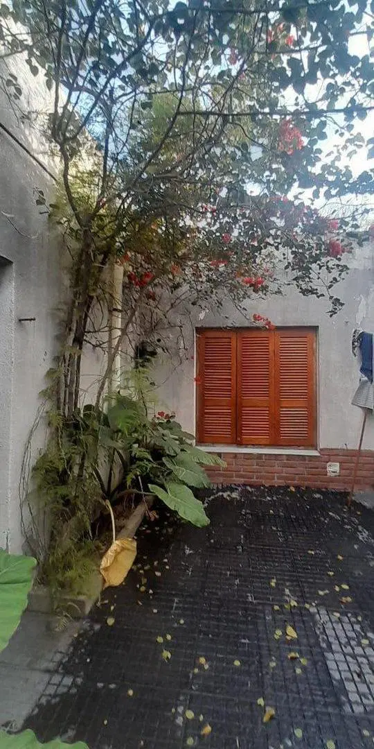 Casa + departamento Fiorucci 395 2