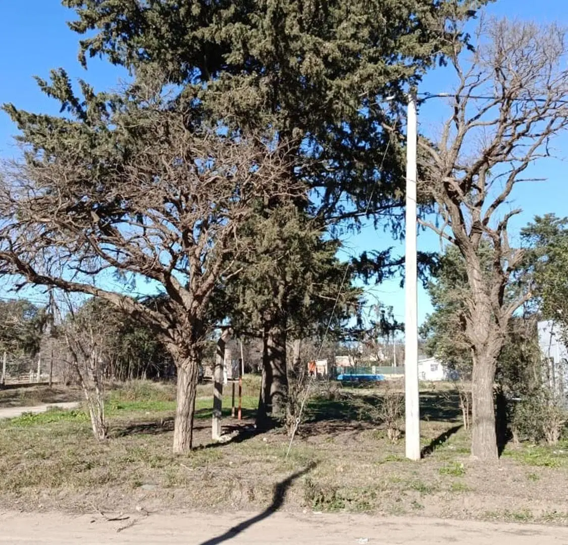 Terreno calle Cacique Pincen y M.Jones 3