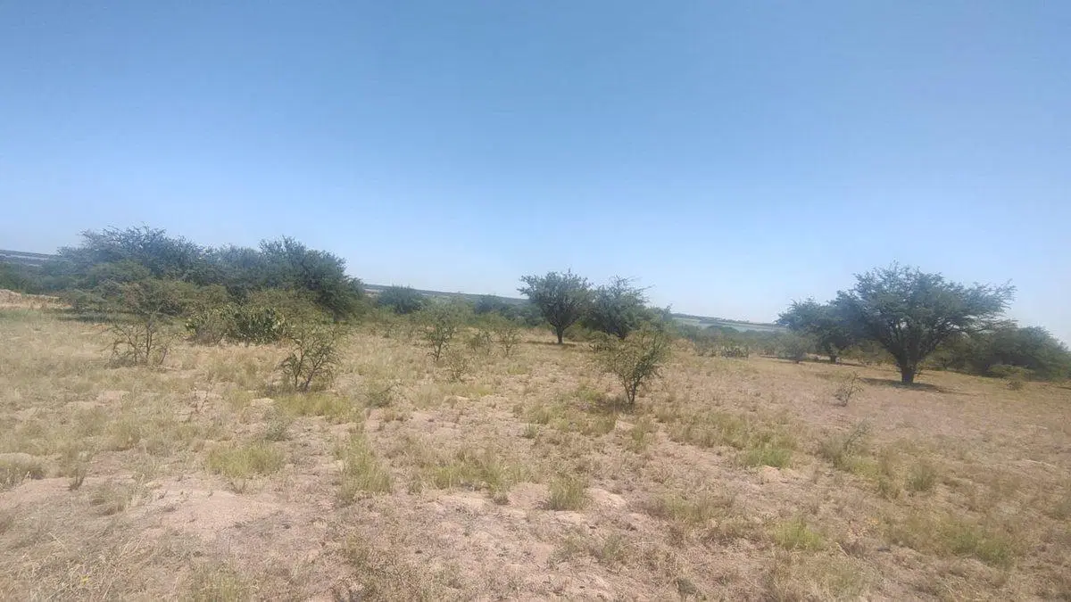 Terreno en Mara y Paloma, La Cuesta del Sur 5
