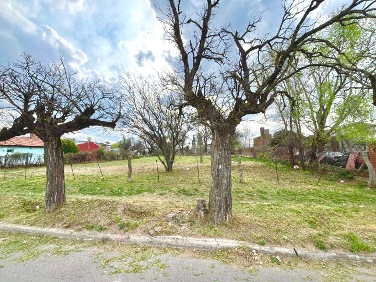 Foto de Terreno en España e/ 9 de Julio y Balcarce - Toay, imagen 3