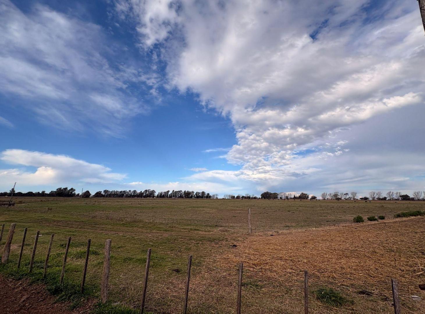 Foto de Chacra en Eduardo Castex, La Pampa, imagen 4