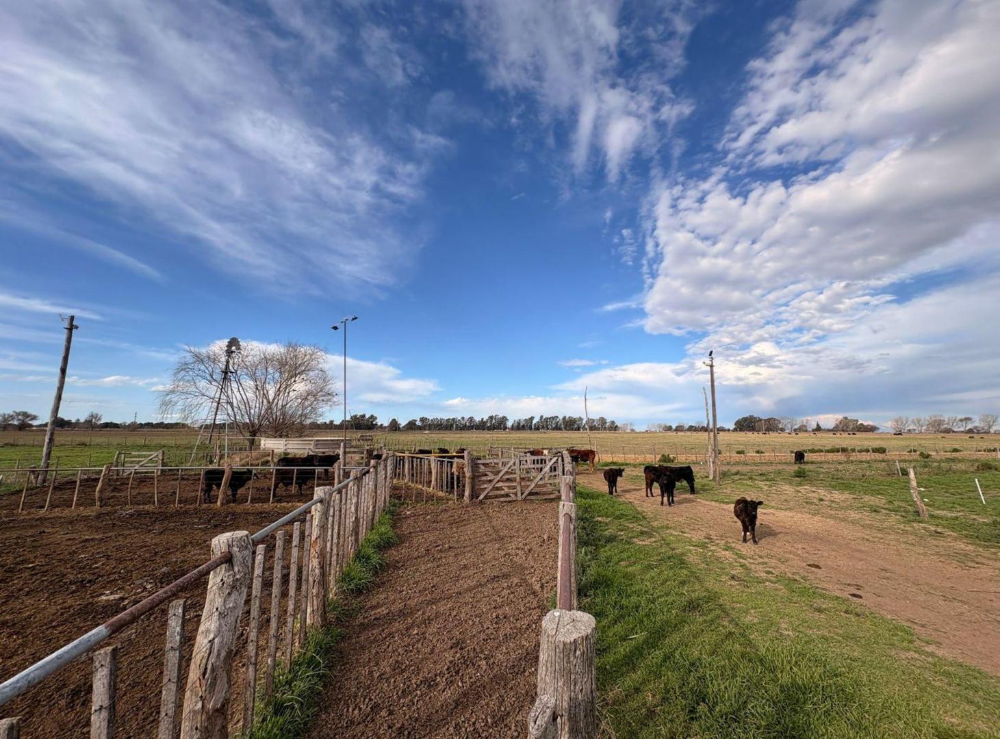 Foto de Chacra en Eduardo Castex, La Pampa, imagen 2