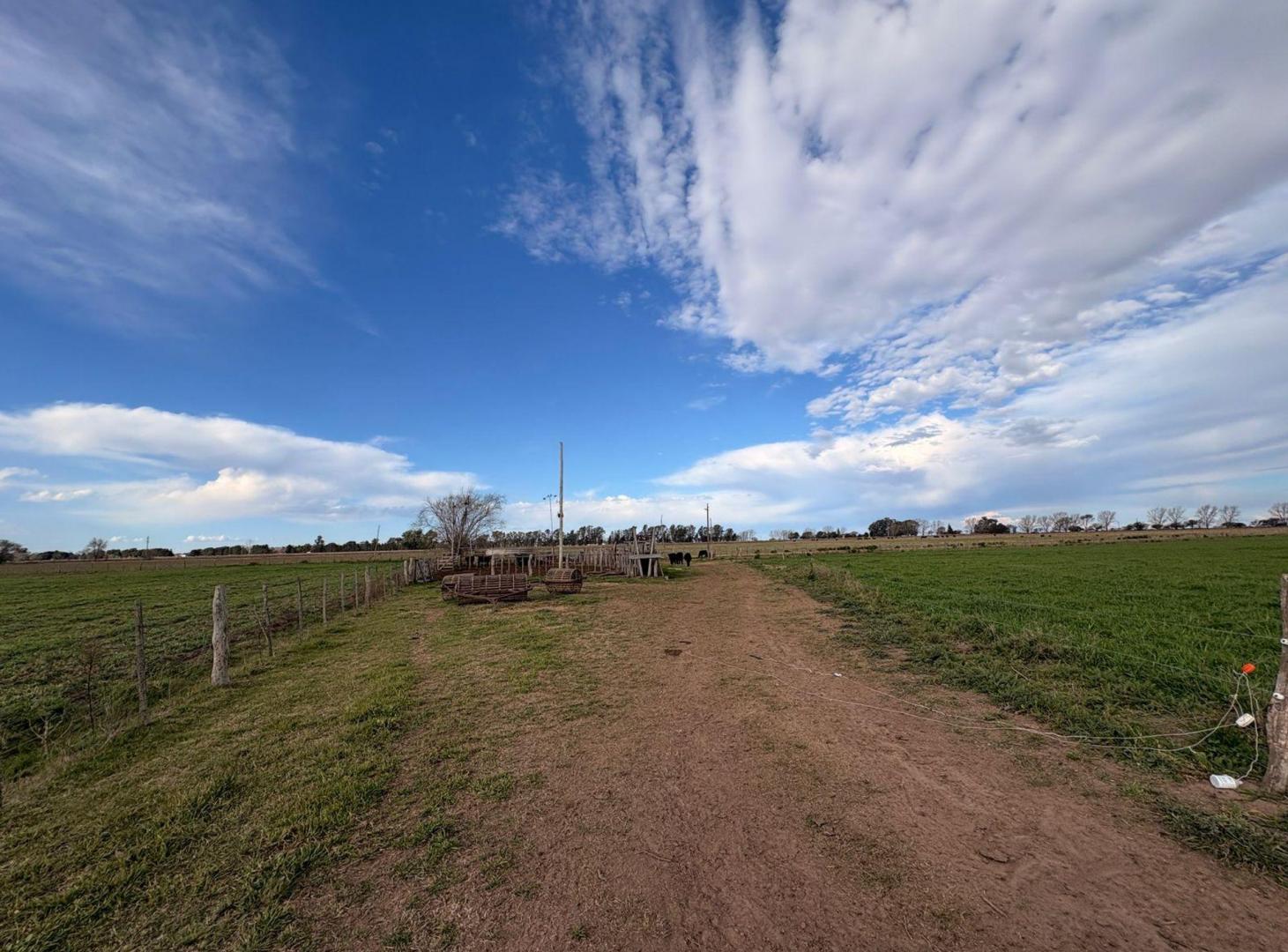 Foto de Chacra en Eduardo Castex, La Pampa, imagen 3