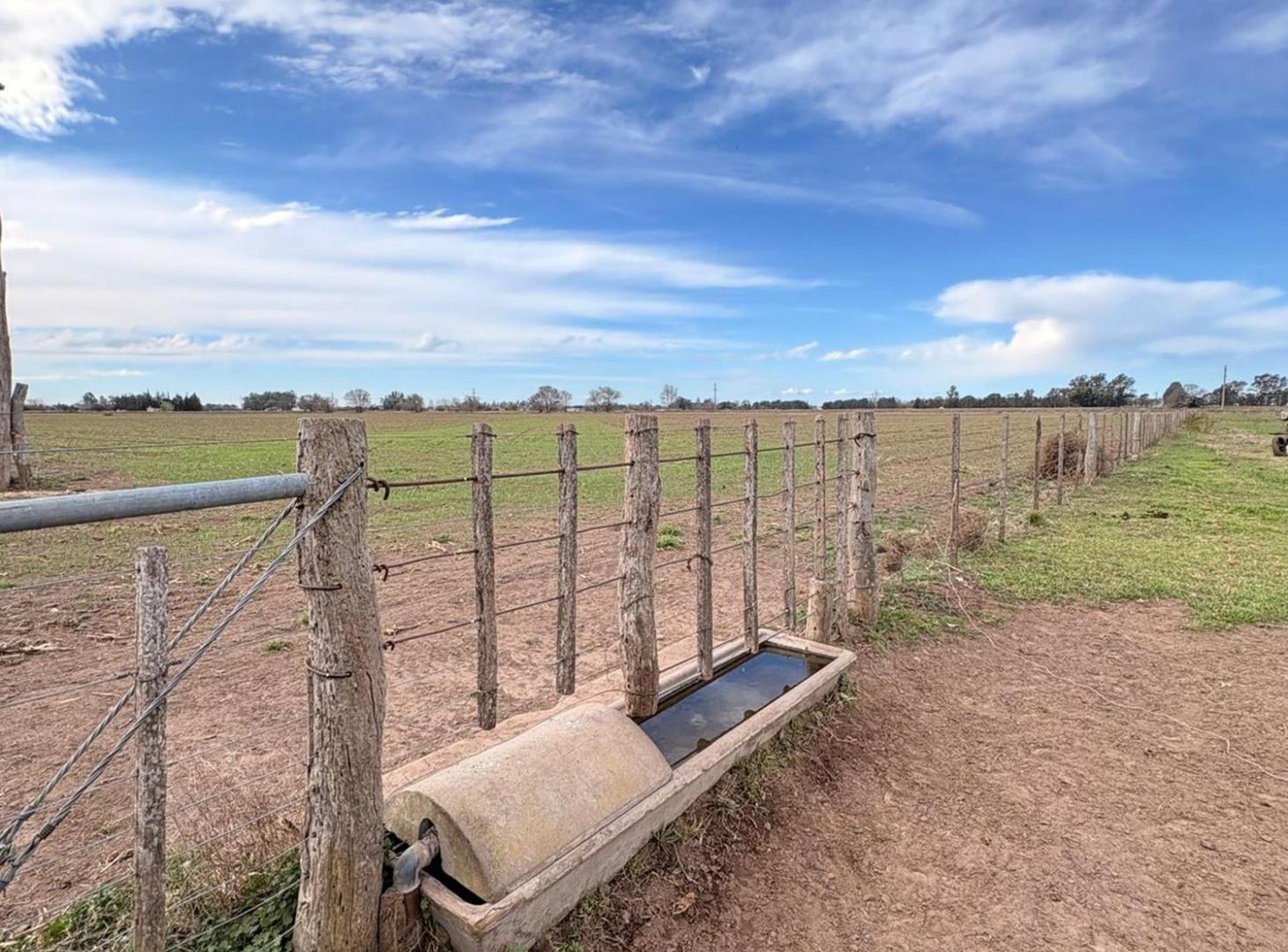 Foto de Chacra en Eduardo Castex, La Pampa, imagen 5