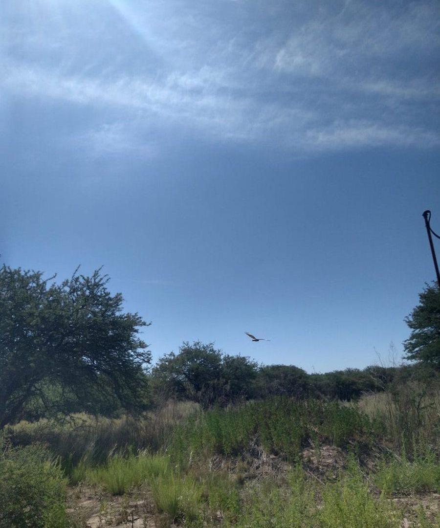 Foto de Terreno La Cuesta del Sur, imagen 1