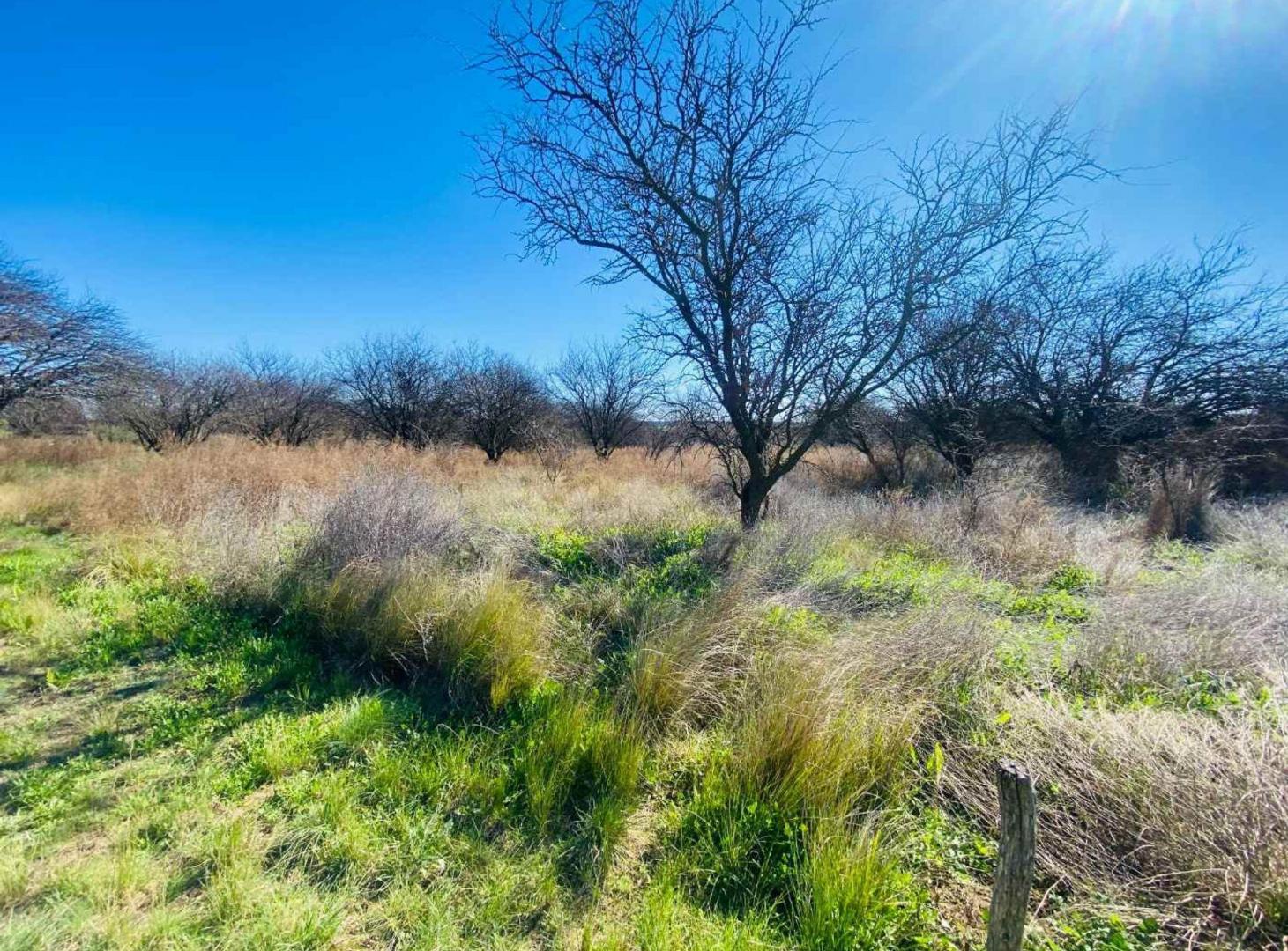 Terreno en Carancho sur, en La Cuesta del Sur