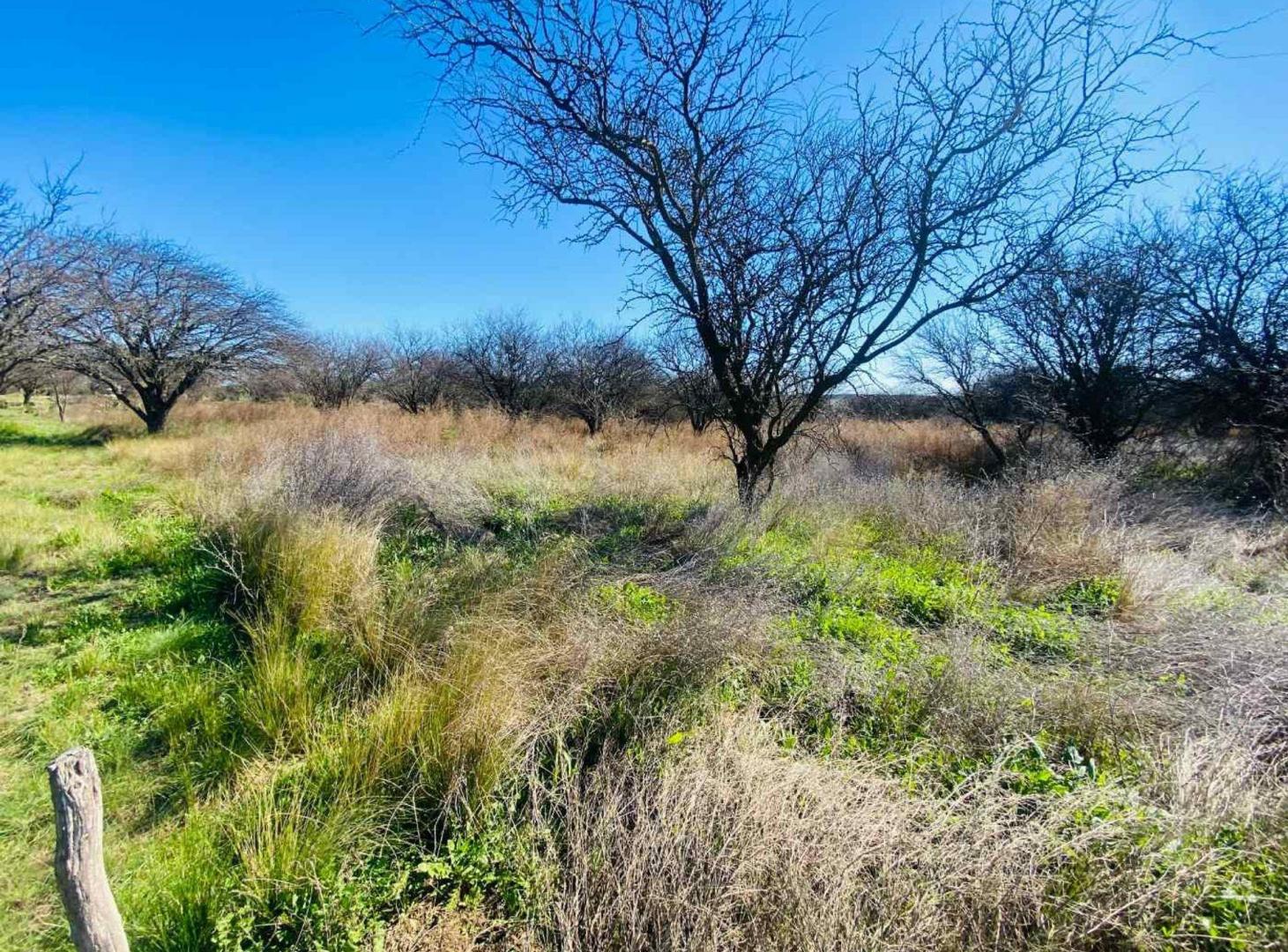Foto de Terreno en Carancho sur, en La Cuesta del Sur, imagen 3