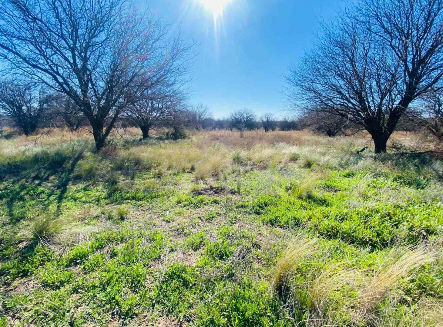 Foto de Terreno en Yarara Sur, La Cuesta del Sur, imagen 4