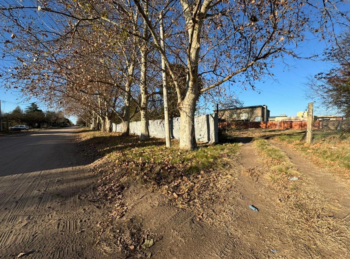 Foto de Terreno en Rucanelo y Alemán, imagen 4