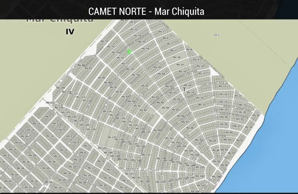 Lote . | LOTE al 100 2