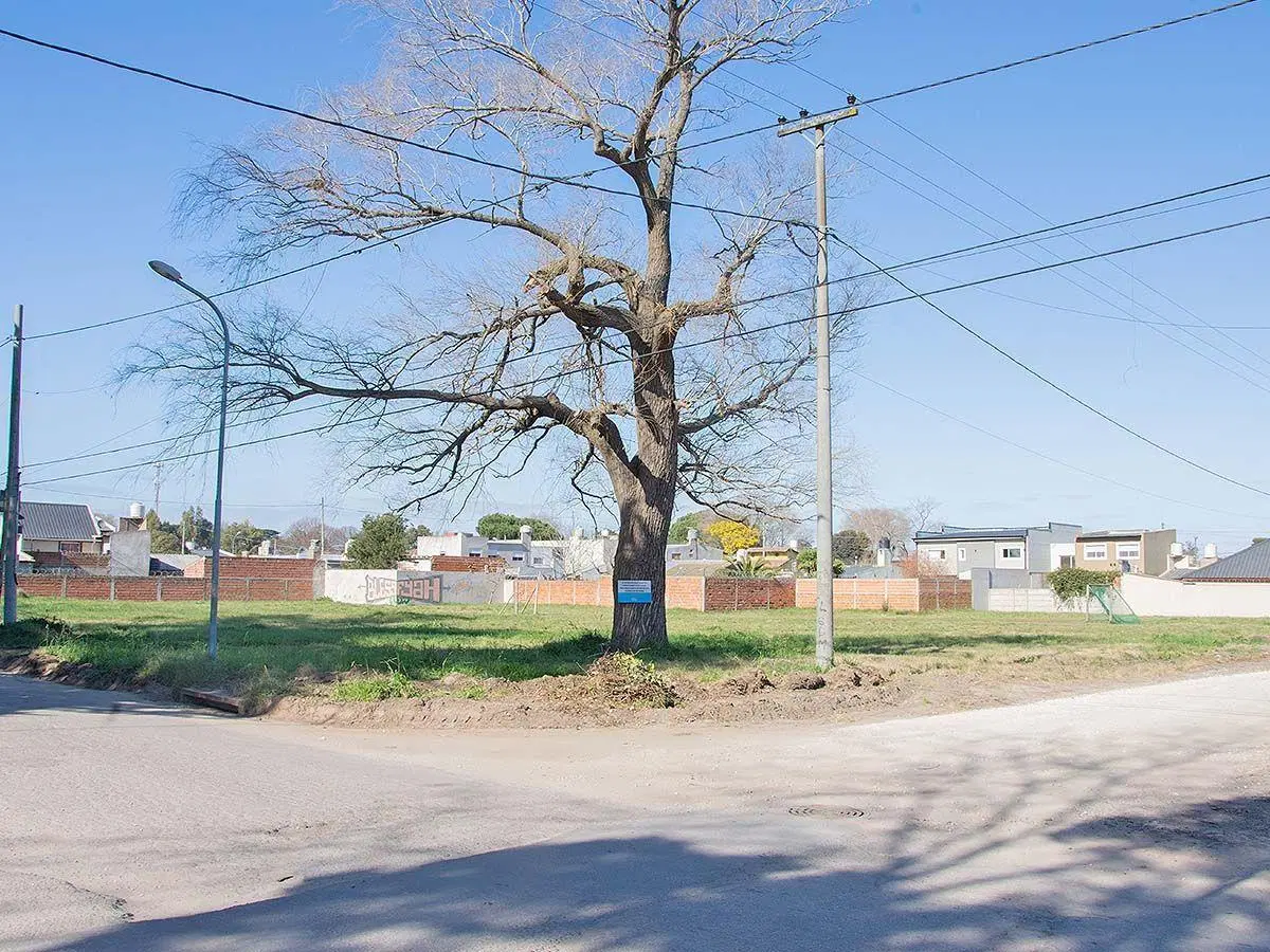Lote . | FLORISBELO ACOSTA al 7700 3