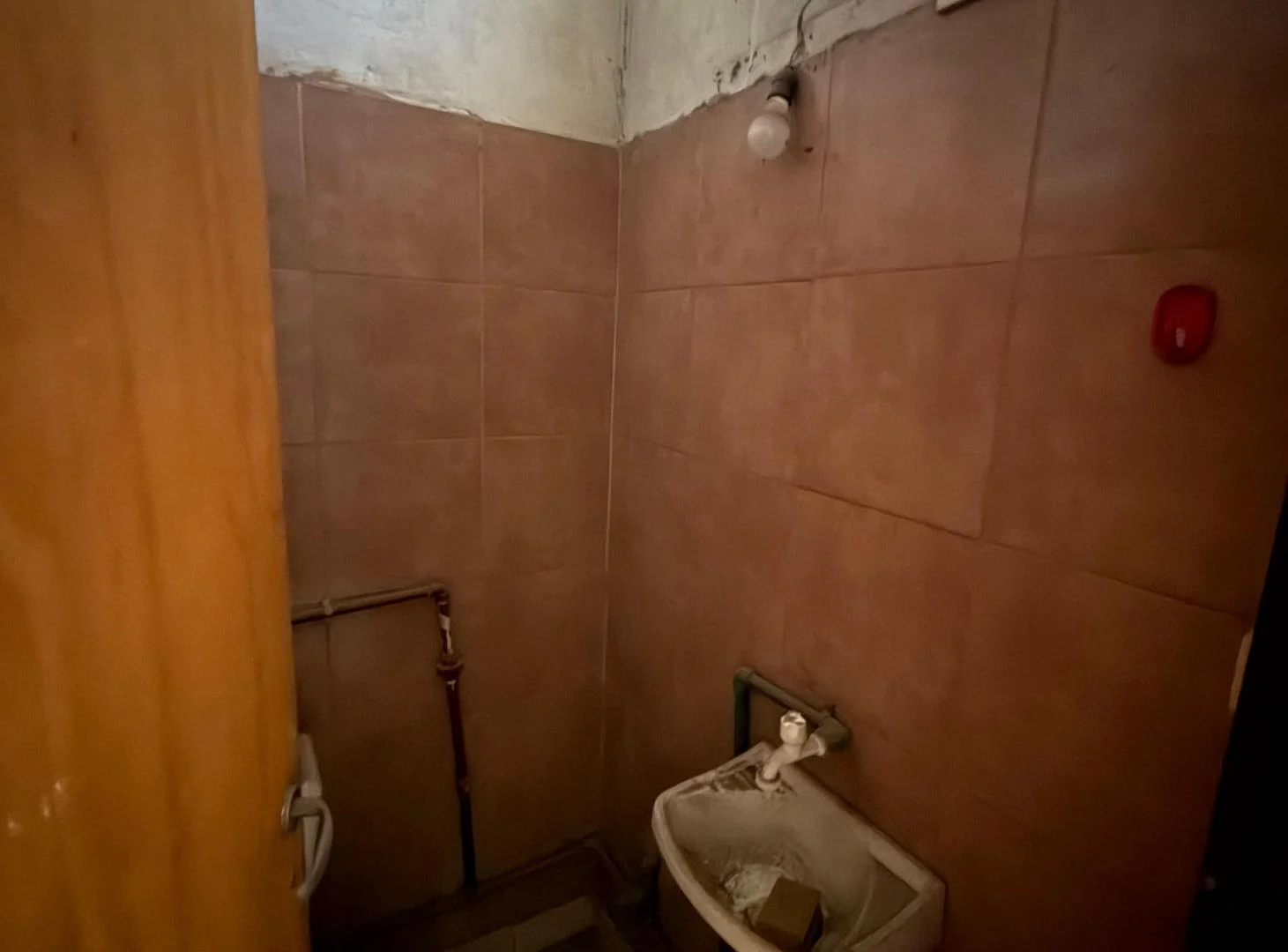 Foto de Local comercial de 20 m² en alquiler en Luis Guillón, imagen 2