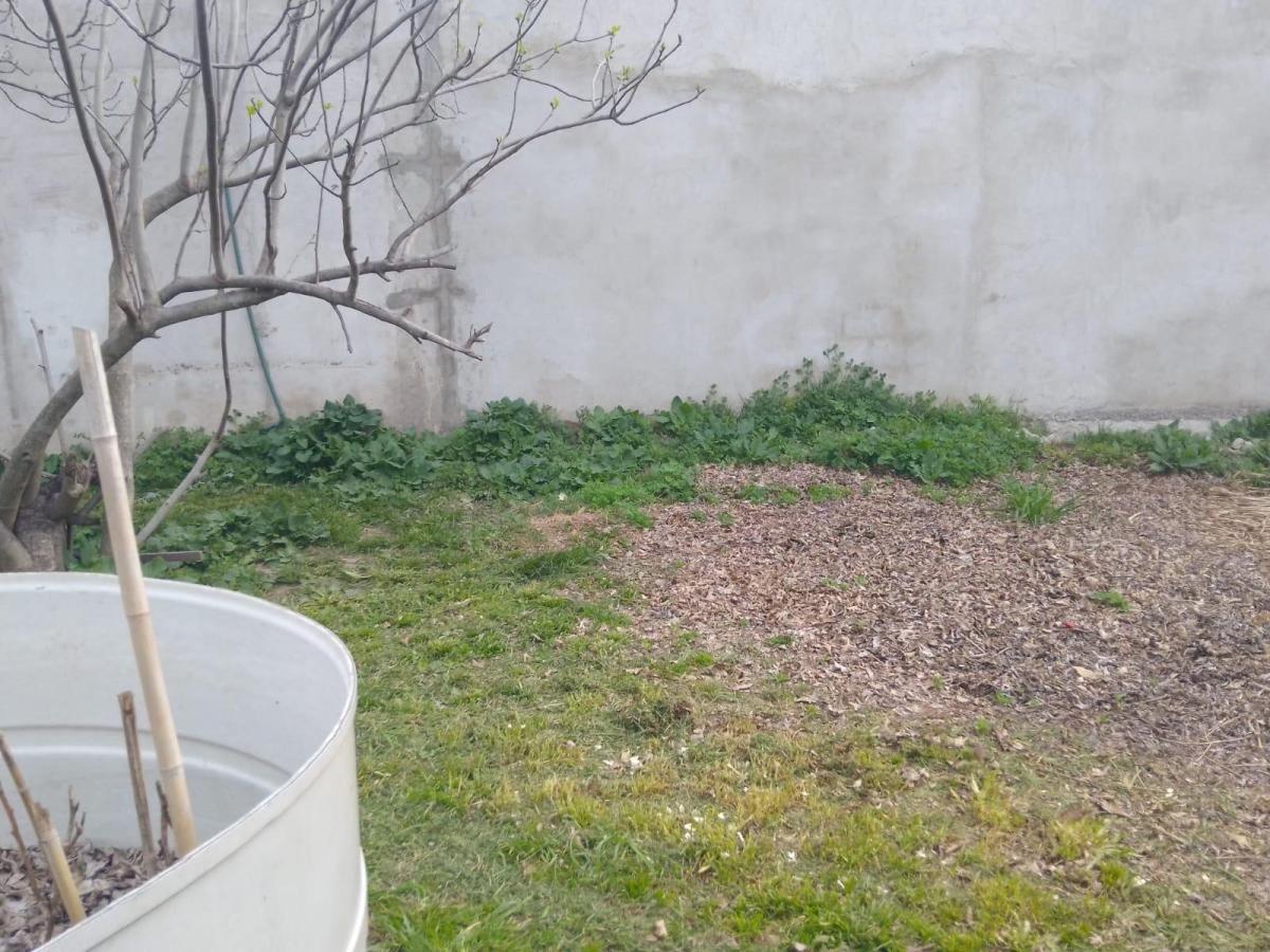 Foto de Terreno de 300 m² en venta en El Jagüel, imagen 4
