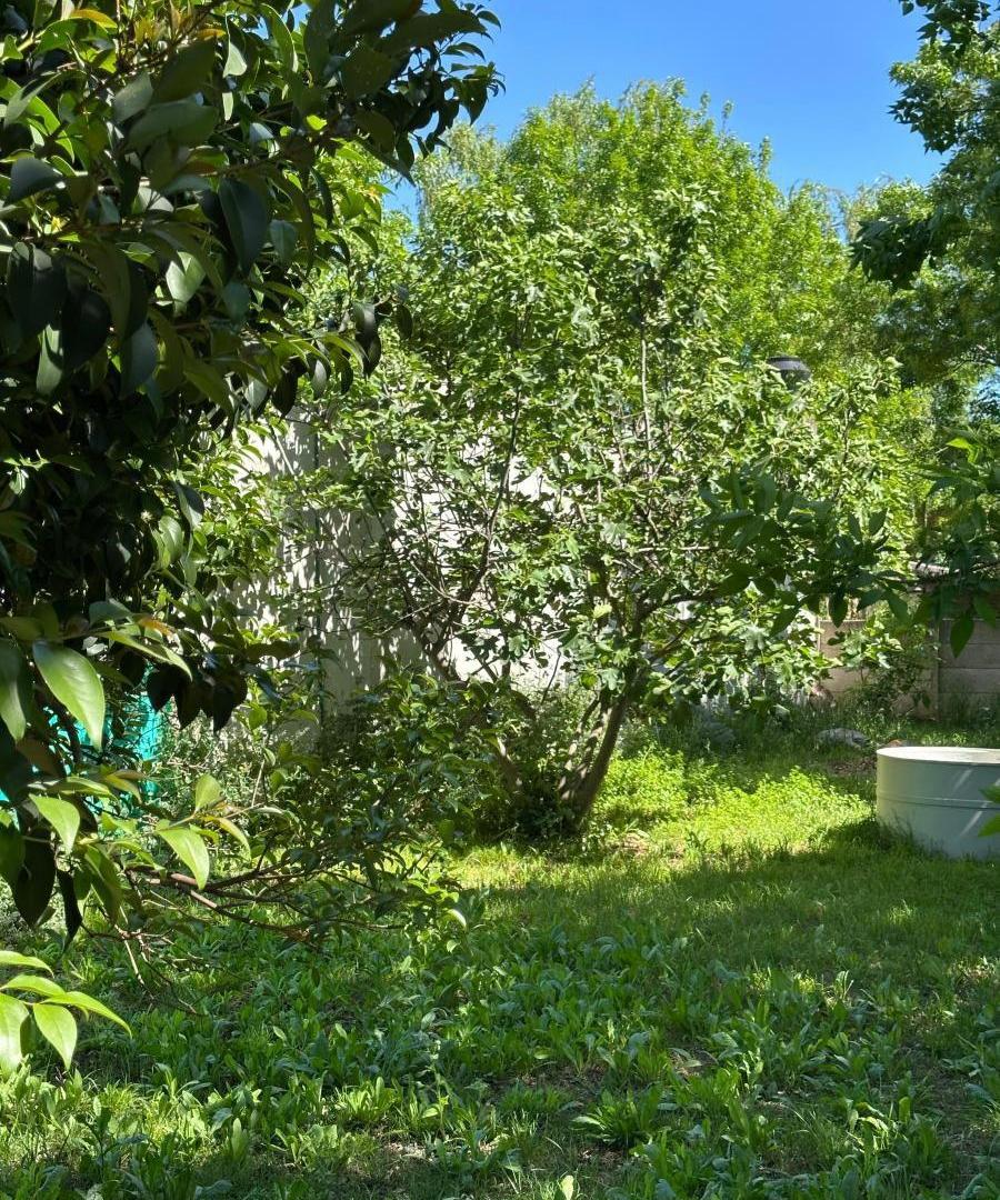 Foto de Terreno de 300 m² en venta en El Jagüel, imagen 1