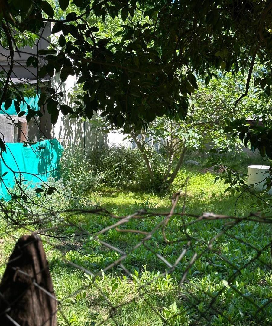 Foto de Terreno de 300 m² en venta en El Jagüel, imagen 2