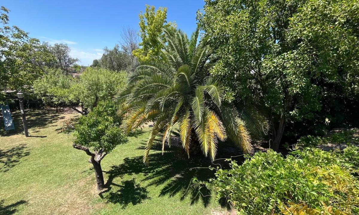 Vende Complejo Turistico en Terrada y Ruta 60 - Drummond - Lujan de Cuyo 5