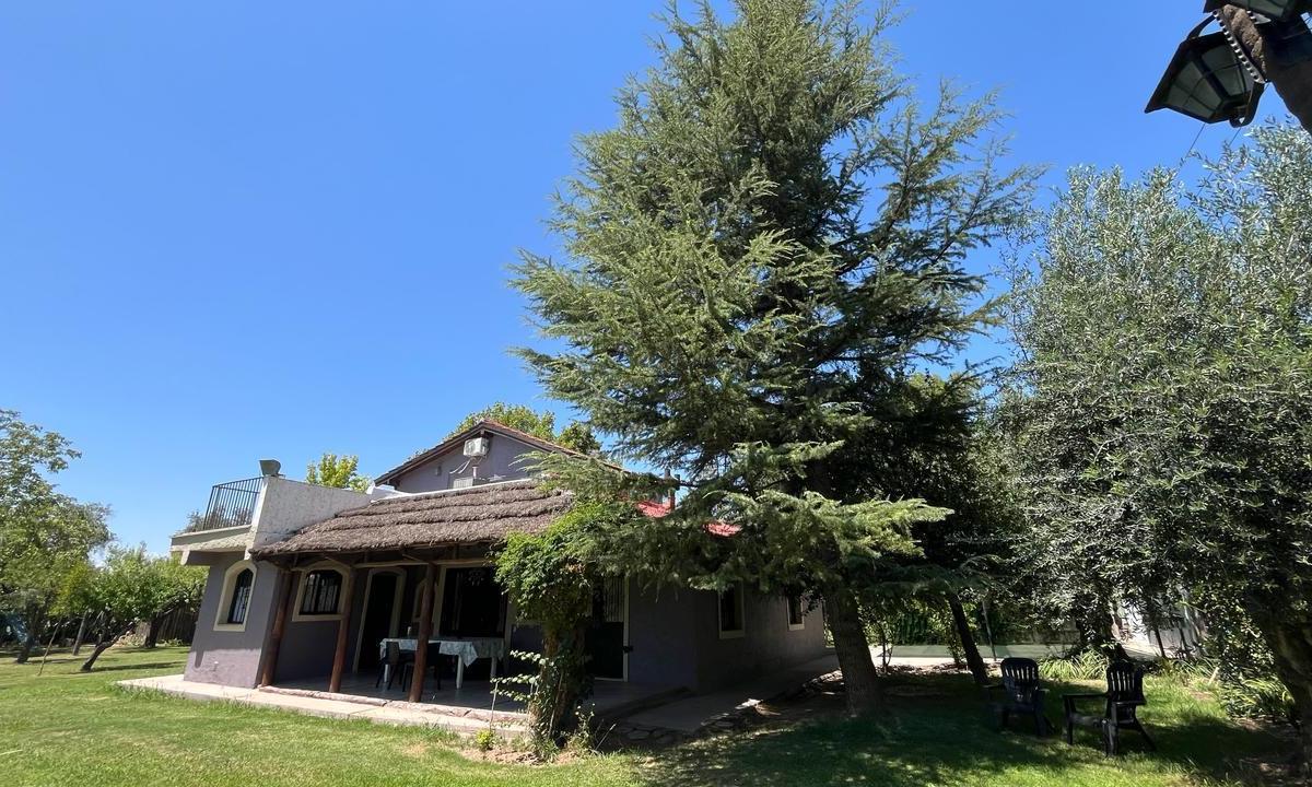 Vende Complejo Turistico en Terrada y Ruta 60 - Drummond - Lujan de Cuyo 3