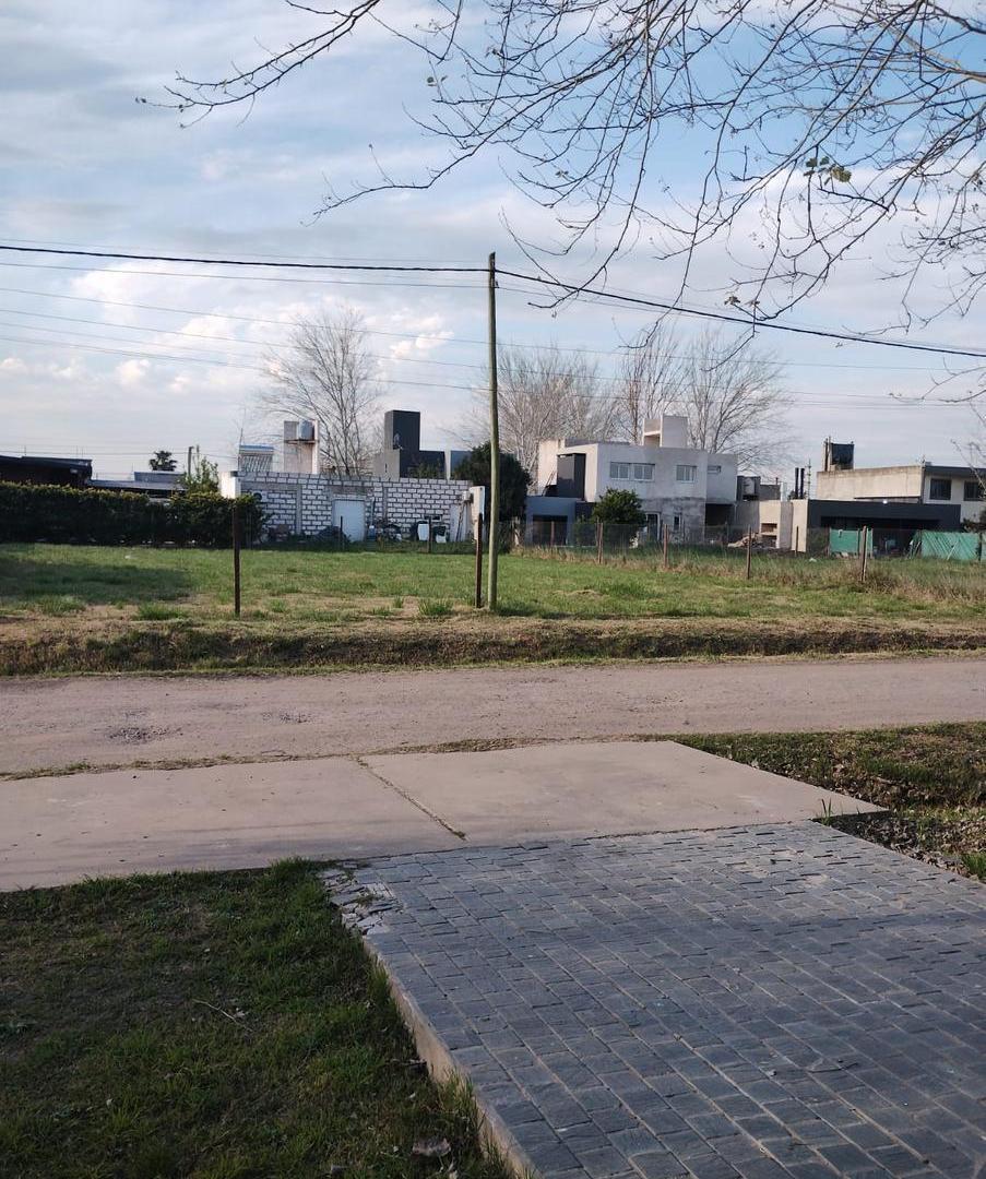 Foto de Terreno en venta en Tierra de Sueños III, imagen 5