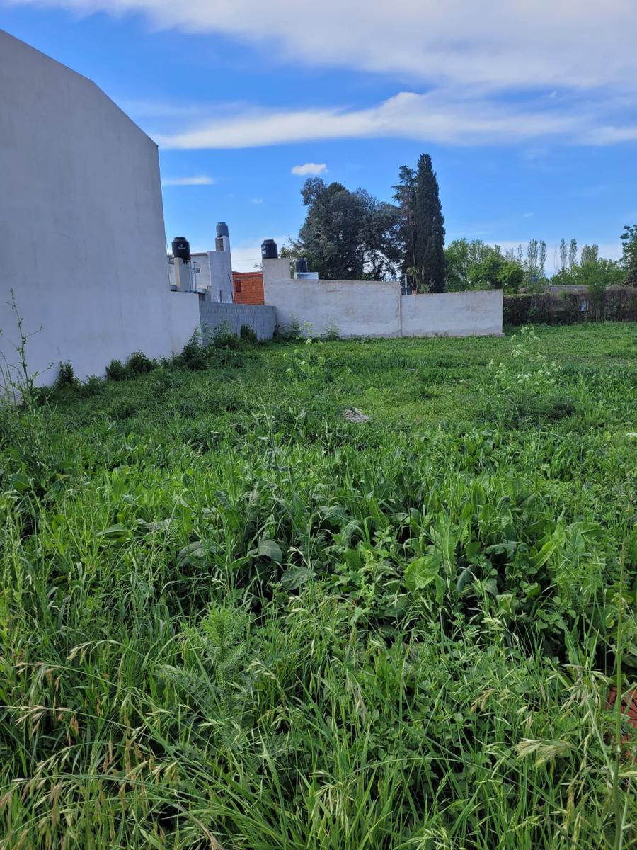 Terreno en San Andrés de Giles - Calle Rawson Entre 43 y 45 2